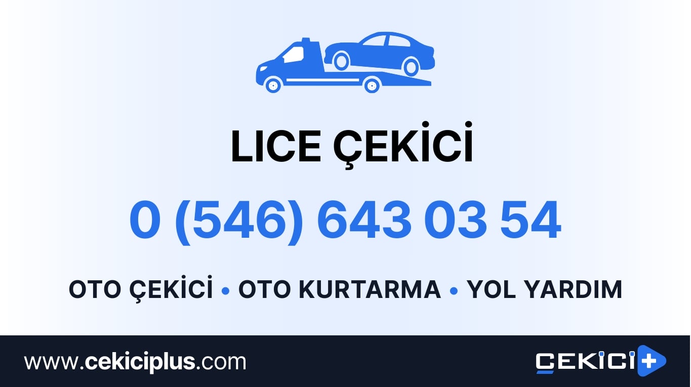 Lice Çekici